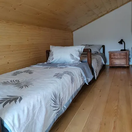 Apartment Rudnicki Proplanak Rudnik
