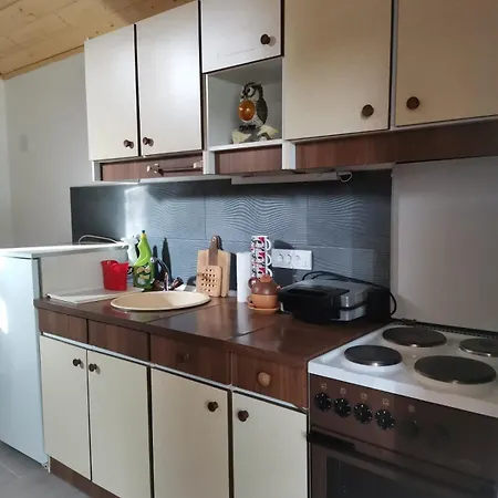 Apartment Rudnicki Proplanak