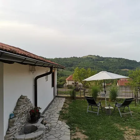 Rudnicki Proplanak ルーディック