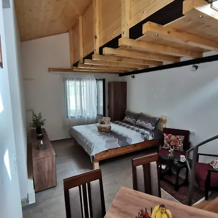 Rudnicki Proplanak *