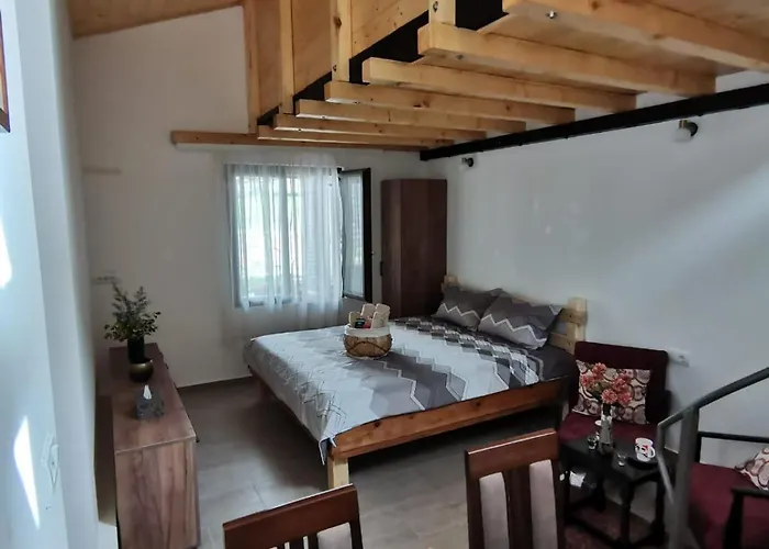 Rudnicki Proplanak *